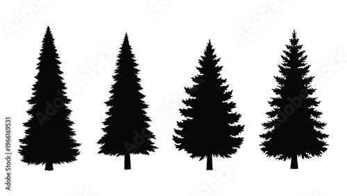 Silhouettes of four evergreen trees varying in height and density