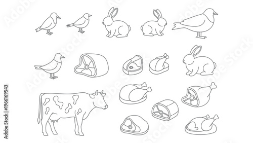 Line drawing of animals meat products and farm elements in a simple style