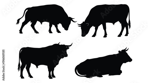 Silhouettes of four cattle a bull a cow and two different poses