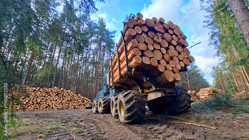 Lumberjack with modern harvester working in a forest. Wood as a source renewable energy.	