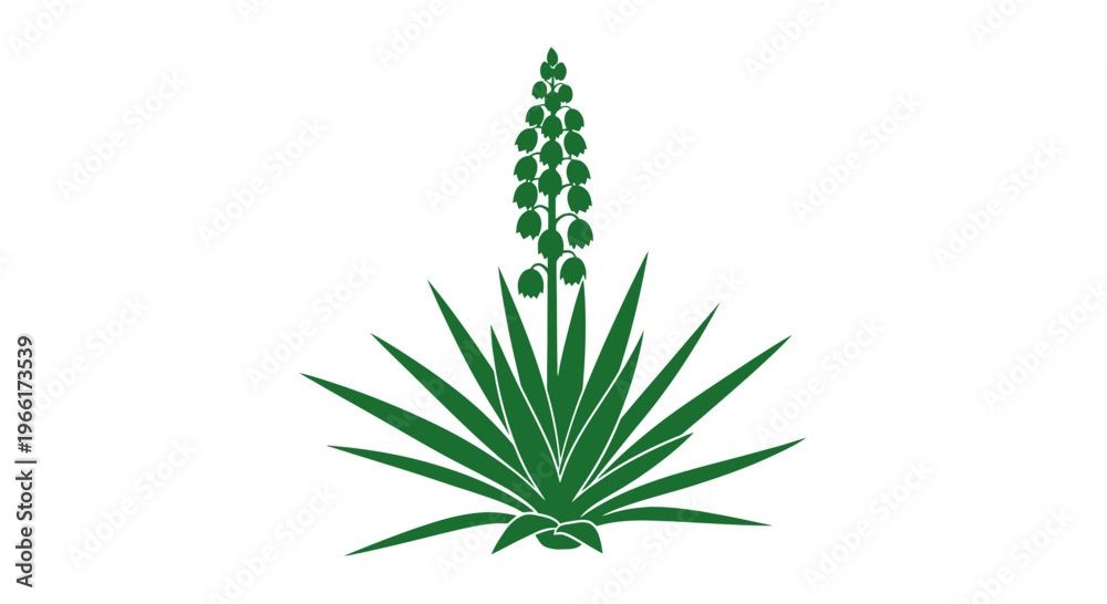 Fototapeta premium Green Aloe Vera Plant with Flower.