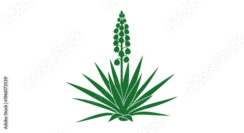 Green Aloe Vera Plant with Flower.