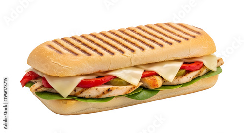 Grilled chicken panini sandwich with melted cheese and roasted peppers, toasted ciabatta bread with grill marks, fresh deli sandwich on white background