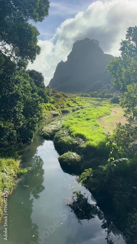 A serene stream flows through lush greenery in Karekare, Auckland, New Zealand. The tranquil scene captures nature's beauty and peacefulness.