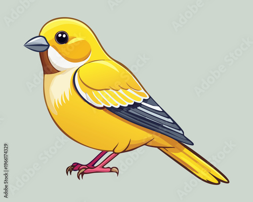 Golden canary bird standing upright with bright yellow plumage representing pet birds and domestic animal life for pet shop branding and advertising materials