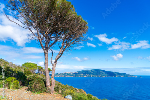 Coastline of Elba island, Italy, in springtime