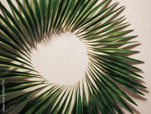 Arrangement of Green Palm Leaves on a Light Background Showing a Floral Pattern