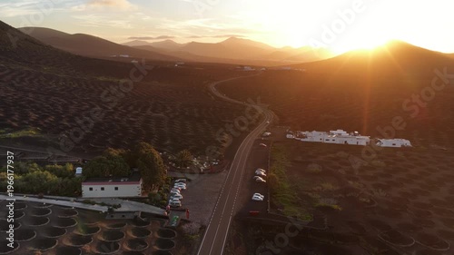 Lanzarote volcanic vineyards sunset aerial view La Geria