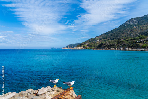 Coastline of Elba island, Italy, in springtime