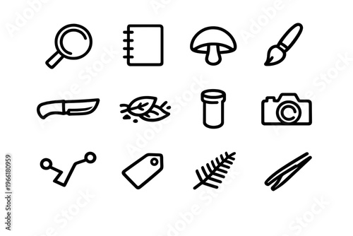 A collection of twelve minimalist black line icons representing