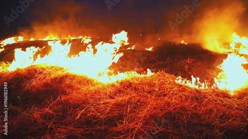 Large flames spread across harvested wheat field at night. Thick smoke covers the sky. Dry stubble burns fast. Climate change and environmental disaster concept. Extreme heat and drought impact.
