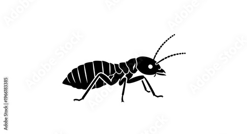 Black and White Ant Illustration Side View.