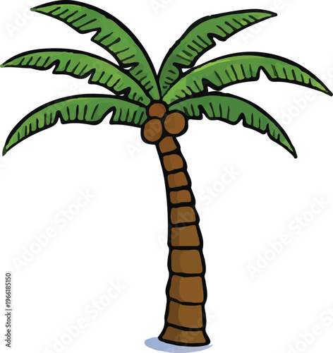 Beach Vacations - Palm tree