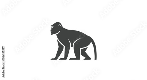 Black Silhouette of a Monkey Standing.