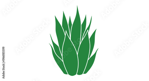 Green Agave Plant Illustration on White.