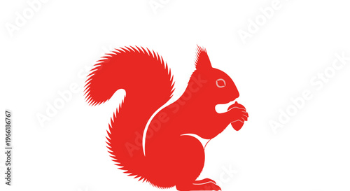 Red Squirrel Silhouette Eating Nut.