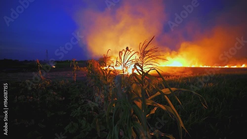 Close view of burning straw and glowing flames in dark landscape. Bright orange fire and thick smoke. Dramatic background of heat and energy. Natural disaster and danger concept.