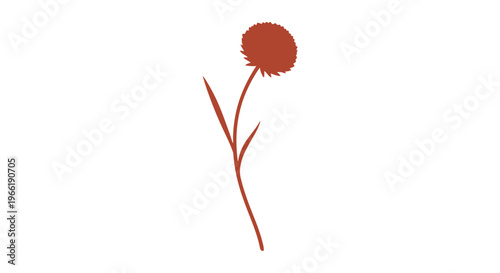 Red Dandelion Flower on White Background.