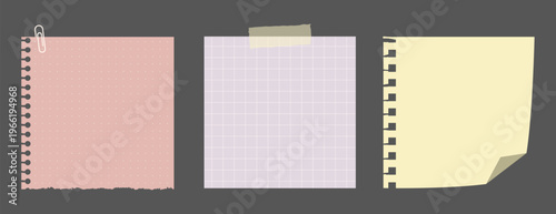 Colorful notepaper designs collection vector element