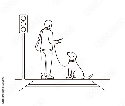 Dog sitting patiently at a crosswalk beside its owner, traffic light pole nearby and painted street lines beneath their feet,
