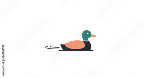 Colorful duck swimming in water.