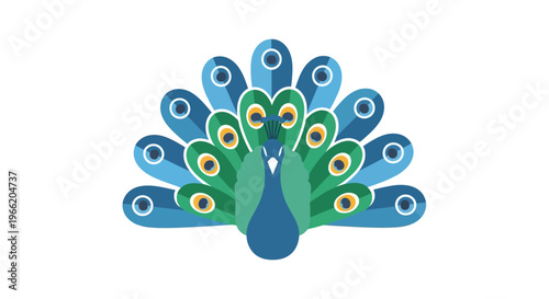 Colorful Peacock Bird Display Plumage.