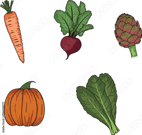 Hand drawn fresh vegetable vector set with beetroot, kale, pumpkin, artichoke and healthy organic food illustrations