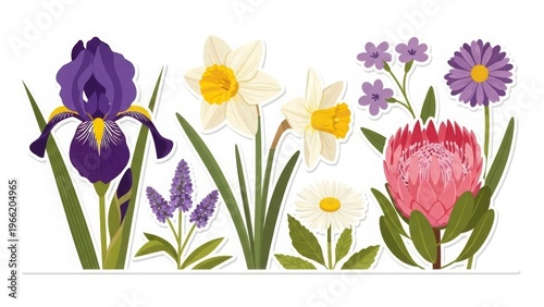 Vibrant Blooms: A captivating collection of diverse flowers, each showcasing unique colors and shapes.