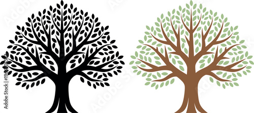 фотографія Two trees a dichotomy of form and color representing life and its shadow