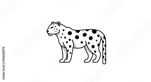 Leopard with black spots standing still.
