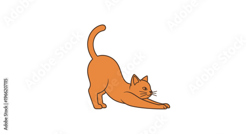 Orange cat stretching sideways down.