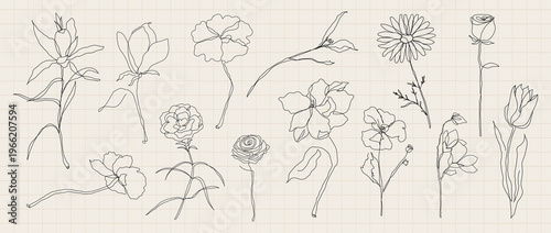 Sketches of various flowers, including roses, tulips, and daisies, on a grid background. Delicate flower sketches show intricate flower details. Floral line art vector set.
