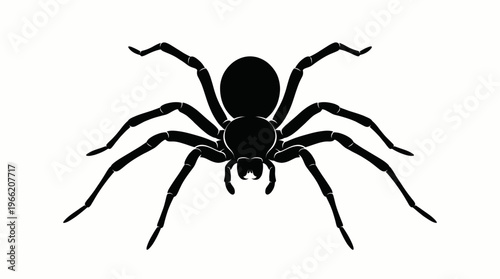 silhouette of a spider in flat vector style