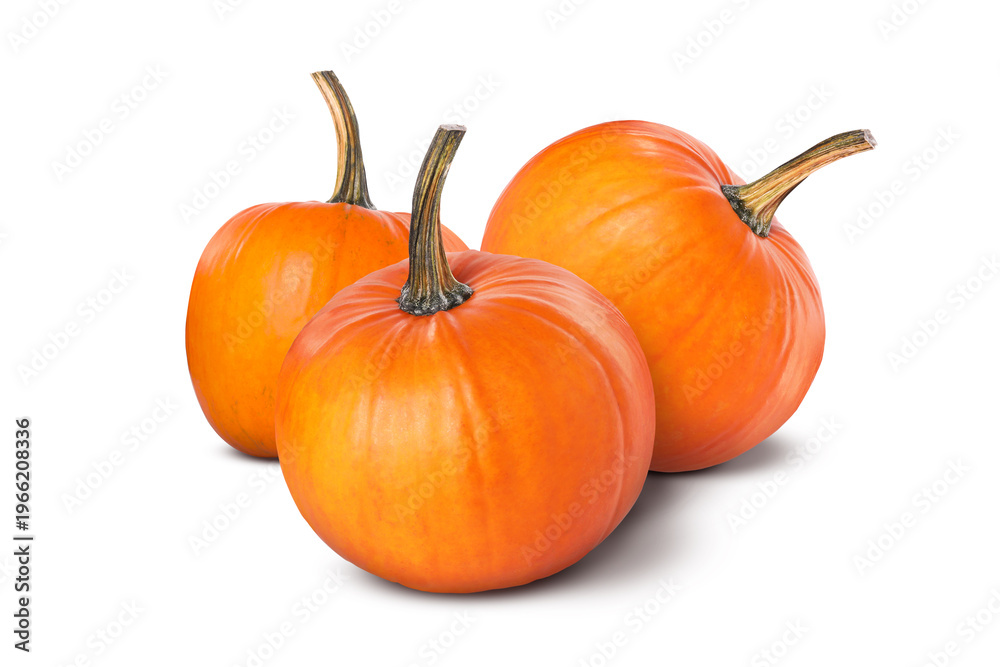 Obraz premium Fresh ripe pumpkins on white background. Gourd vegetable