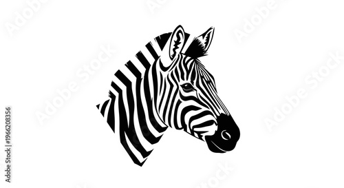 Black and white zebra head portrait.