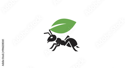 Black Ant Carrying Green Leaf.