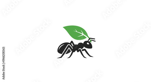 Black Ant Carrying Green Leaf.