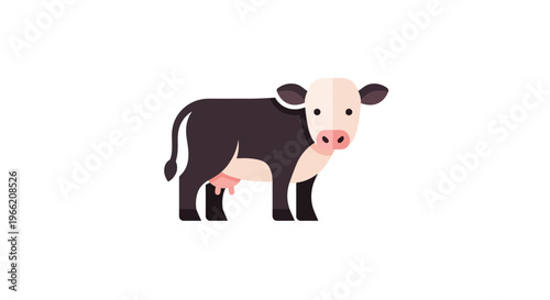 A black and white cow standing.