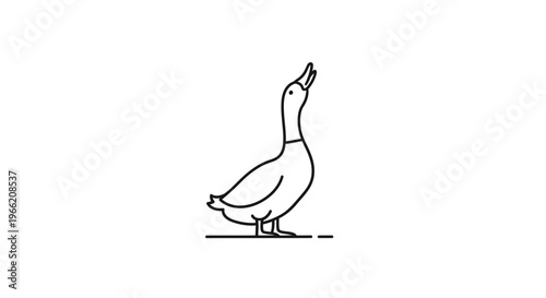 A duck standing on the ground.