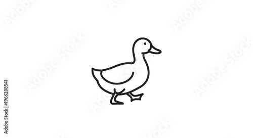 A duck walking alone outside water.