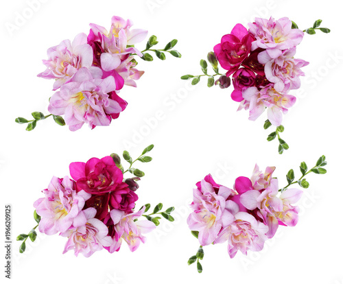 Tender freesia flowers isolated on white, set