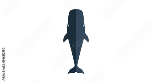 Large dark blue whale from above.