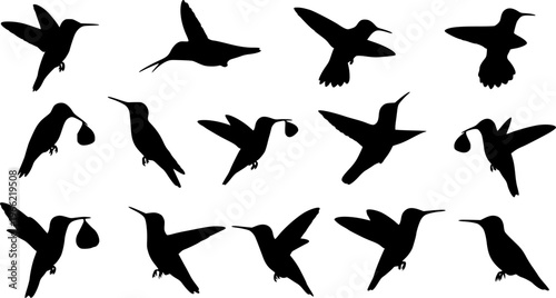 humming bird silhouette eps format vector illustration on a white background eps format