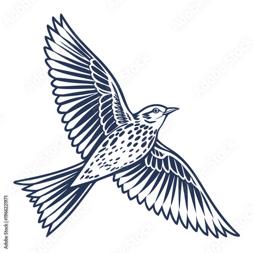 Skylark Flying vector image. Skylark Flying image Illustration on white background.