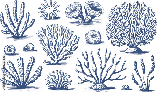 Blue coral reef collection underwater sea plant life aquatic element.