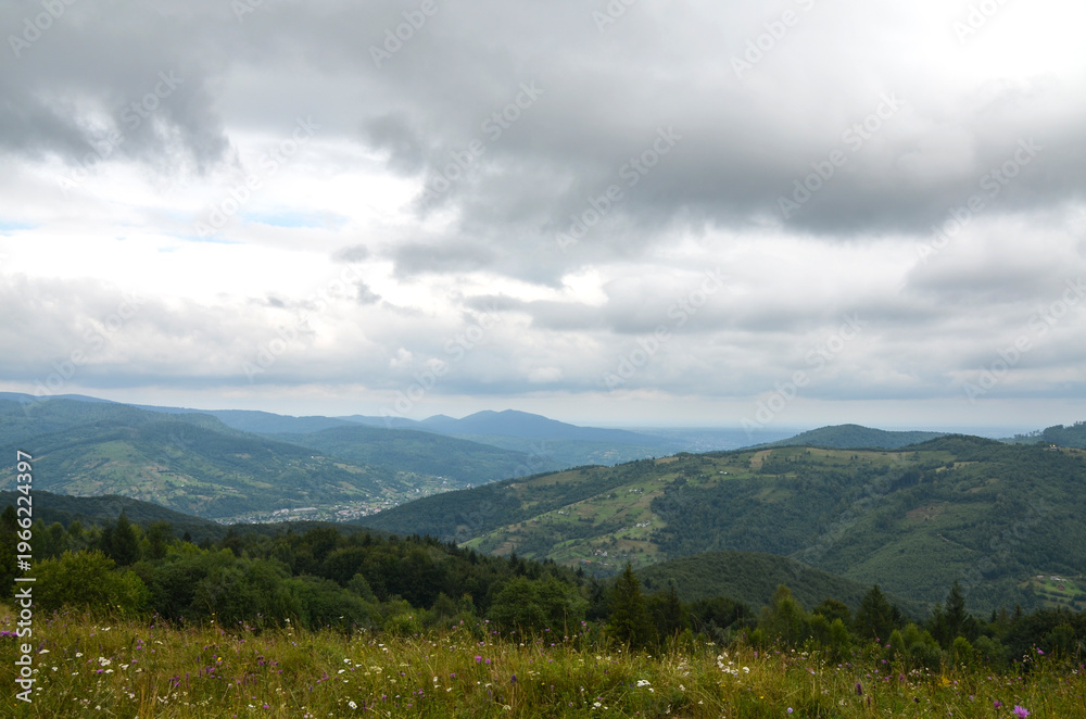 Fototapeta premium Moody overcast mountain landscape featuring a wildflower meadow in the foreground, rolling green hills and forested valleys stretching to distant blue ridges beneath dramatic cloudy skies. Carpathians