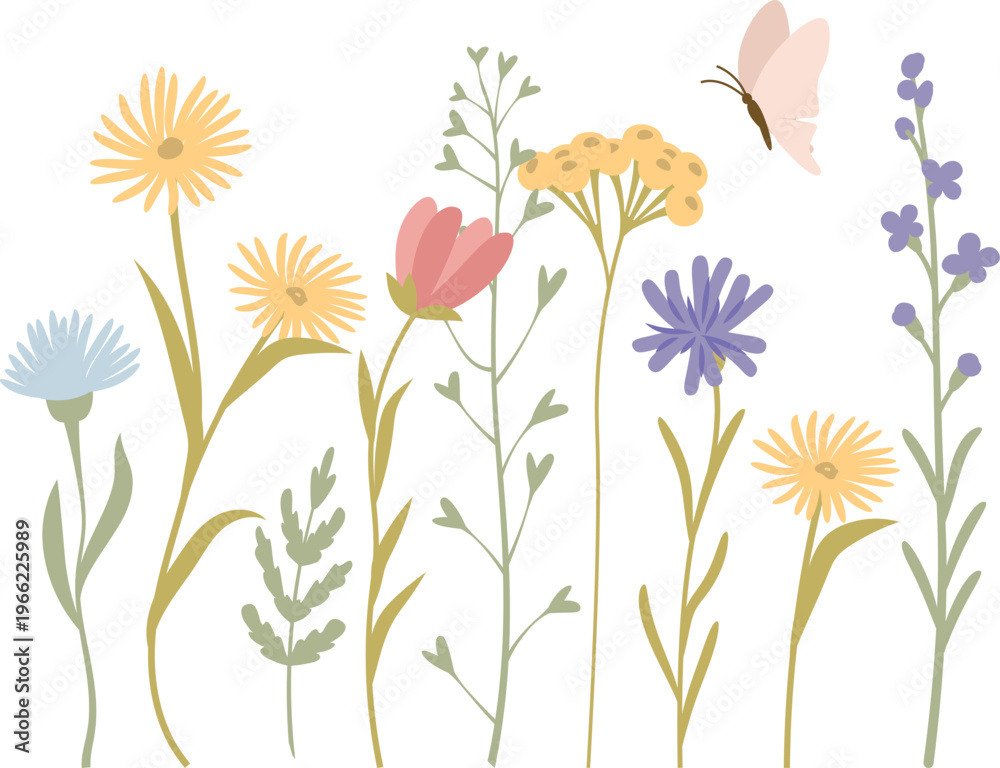 Fototapeta premium Wildflower Meadow With Butterfly Cartoon