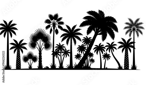 Palm tree silhouette border vector tropical black trees row illustration isolated on white