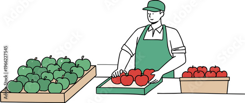 Man arranging red and green apples in a market setting, wearing a green apron and cap, on a transparent background, in hand drawn style, fresh produce display