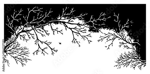 Abstract tree branches and roots frame, winter nature background in woodcut style, rustic forest botanical illustration vector